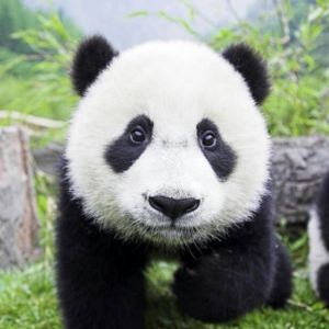 熊新杰